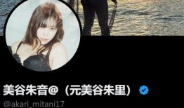 朱音在线观看,沉浸式音乐体验之旅